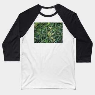 Kiwakiwa fern. Baseball T-Shirt